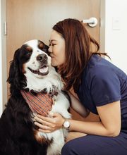 Founders Green Animal Hospital image 6