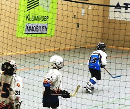 WIRO SportCenter B.-v.-Suttner-Ring Bild 2