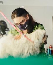 Mökai Mascotas imagen 2