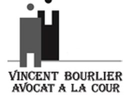Bourlier Vincent image 8