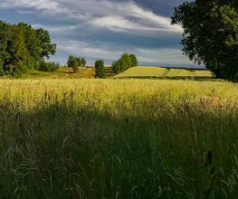 Landschaftsfotografie - Photo-Martin - Fotograf in Chemnitz