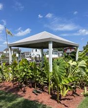 A&A Awnings and Storm Shutters image 9