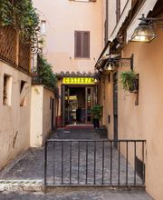 Gallery Professionale