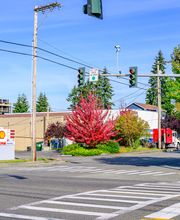 Crash Champions Collision Repair Alderwood image 10
