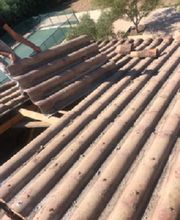 Lenoir Steeve image 13