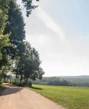 Bei der Anfahrt zum FriedWald Duttenstein ergeben sich wunderschöne Ausblicke in die Landschaft.