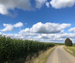 Michaela Höfer Bild 2