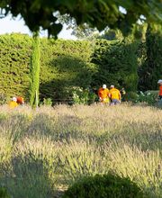 Pépinière Jolijardin image 13