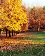 Albora-Bide Sexología imagen 6