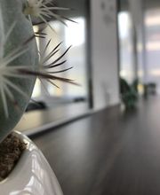 pelobonito Coiffeur Bild 5