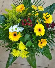 Osiris Fleurs image 2