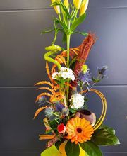 Au Bouton D'Or image 13