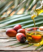 Import & Export GDP Bild 6