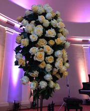 Blumen Fleischli Bild 1