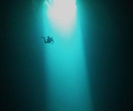 Jaguar Divers - Dive Shop in Playa del Carmen imagen 14