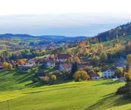 Kräuterhof Ringelai Bild 15