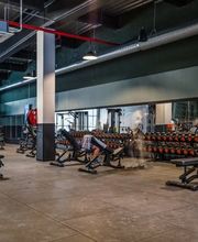 Basic-Fit 24/7 image 2