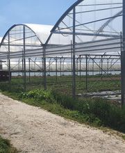 Motoculture de Haute-Normandie - deparrois image 19