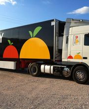 royulacion de vehiculos.JPG