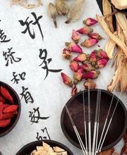 Maréchal Claudia image 3