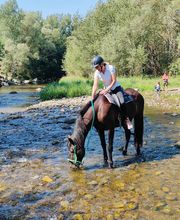 Cerdanya Eqüestre imagen 10