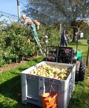 Familie Menzi Bild 2