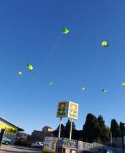 Todis - Supermercato (Genzano - viale Francia) immagine 11