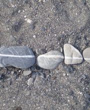 Daniel Oesch Gartenbau AG Bild 6