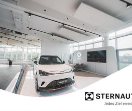 smart - STERNAUTO Bild 4