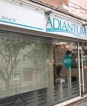 ADIANTUM 93 image 3