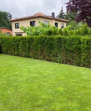 NG SERVICES BERLIN Bild 3