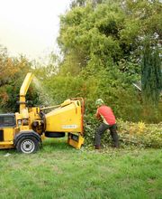 Daniels Baum- & Gartenservice Bild 13