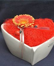 Blumenhaus Wiedikon Bild 4