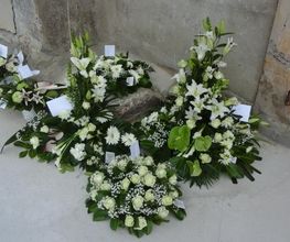 Flowers image 18