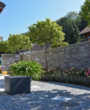 gartenbaumann AG Bild 1