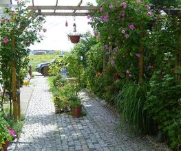 Ralf Krickow Garten- & Landschaftsbau Bild 4