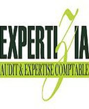 Expertizia image 1