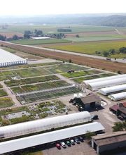 Damien Vivier Pépinières image 4