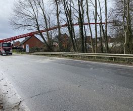 ... unser Gärtner Björn Steffen - Garten- und Landschaftsbau Bild 14
