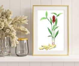 Bioartsense Aquarelle Bild 13