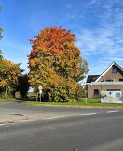 Fußpflege Scheeßel Catharina Lemmer Bild 8