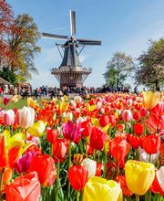 Moser Reisen AG Bild 9