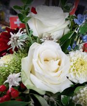 Duttweiler Jürg Bild 12