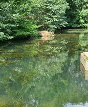 Camping Erbenwald Bild 14