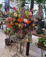 Floria Blumen Bild 1