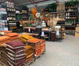 Intratuin Zevenhuizen afbeelding 18