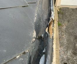 Becker Sony image 20