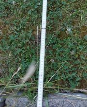 HMS - Handwerker Maik Ströhlein Bild 23