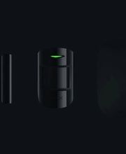 Delbal Alexis image 6