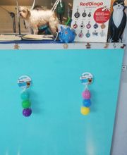 A L'eau Toutou image 5